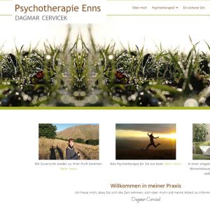 psychotherapie enns