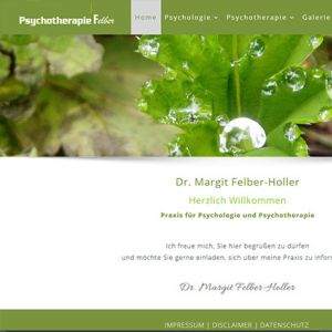 psychotherapie felber